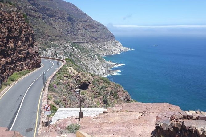 Cape of Good Hope and Penguins - Small Group - Full day - Hout Bay adds an optional seal trip