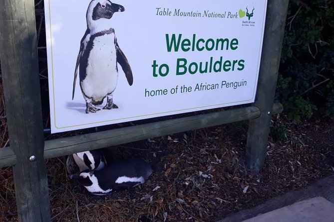 Cape of Good Hope and Penguins - Small Group - Full day - Two hours at Cape Point is the day’s main event