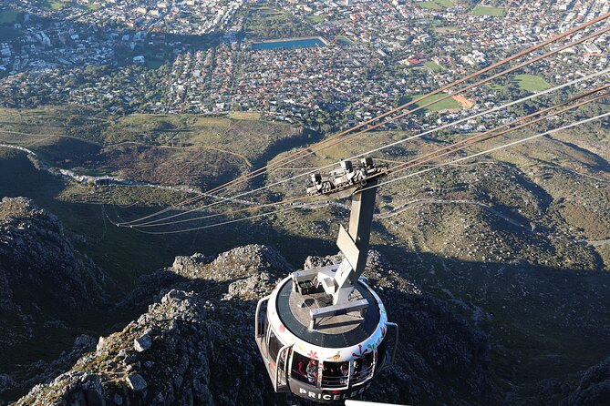 Cape Of Good Hope and Table Mountain Day Trip from Cape Town parks fees include - Why this private Cape Town tour works well