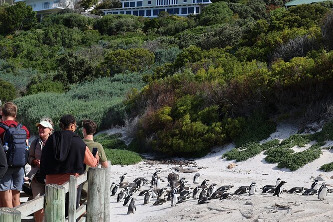 Cape Of Good Hope and Table Mountain Day Trip from Cape Town parks fees include - Table Mountain closes the day on a high note