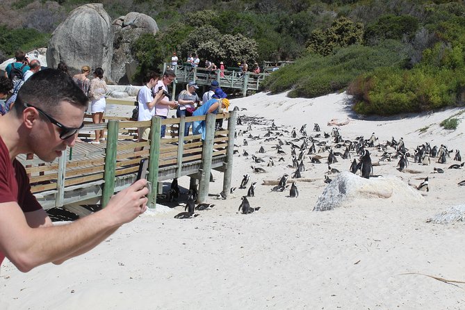 Cape Of Good Hope Bo-Kaap Penguins Full Day tour From Cape Town - Why this full-day route works
