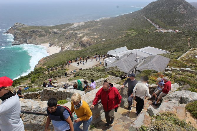 Cape Of Good Hope Bo-Kaap Penguins Full Day tour From Cape Town - Bo-Kaap and Camps Bay set the tone