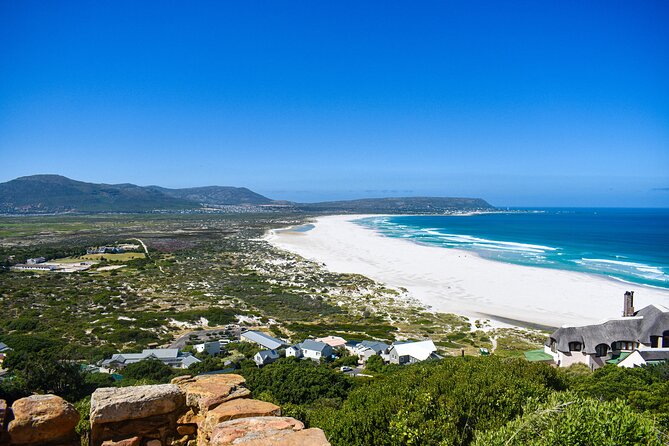 Cape of Good Hope & Boulder Penguins Full-Day Tour from Cape Town - Lunch in Simon’s Town