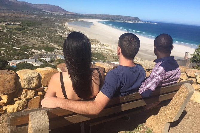 Cape of Good Hope & Boulders Beach Private Tour (Including Lunch) - Ostriches before Cape Point Nature Reserve