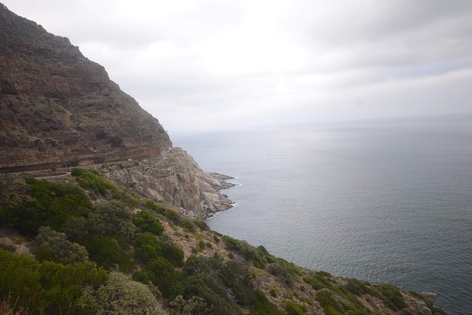 Cape of Good Hope & Boulders Beach Private Tour (Including Lunch) - Two hours inside Cape Point Nature Reserve