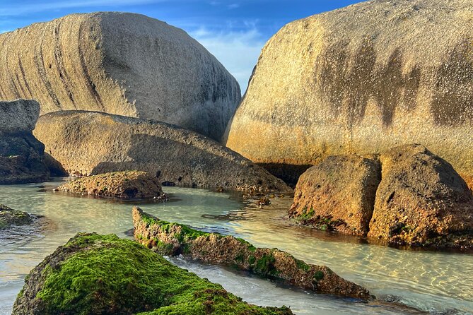 Cape of Good Hope Cape Point for groups - What the private format really adds