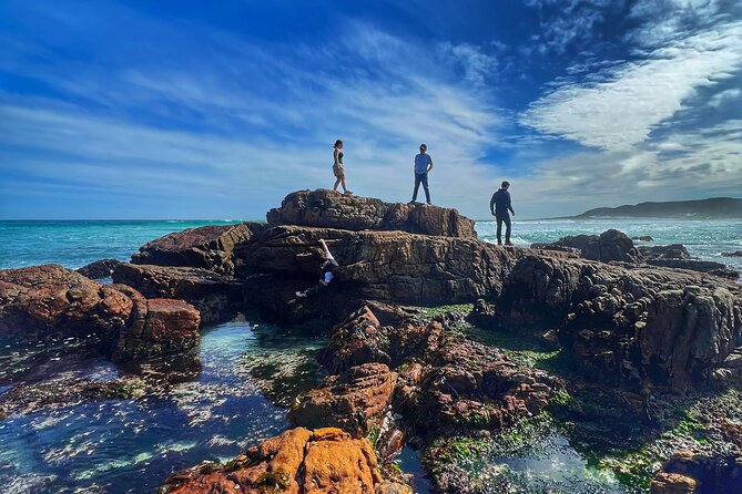 Cape of Good Hope Cape Point for groups - Llandudno Beach and Camps Bay begin the coastal show
