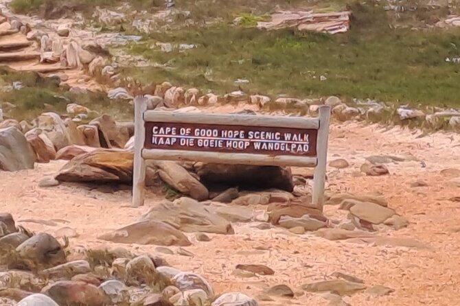 Cape of Good Hope-Cape Point & Penguins from Cape Town - Why this Cape Peninsula route works well
