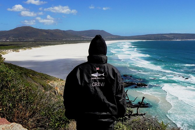 Cape of Good Hope, Cape Point & Penguins Private Afternoon Tour - Chapman’s Peak Drive in the afternoon