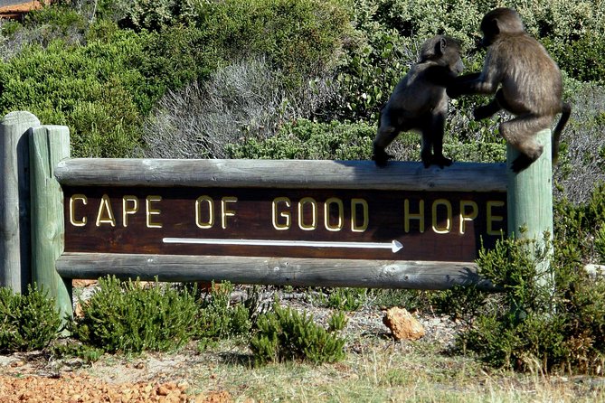 Cape of Good Hope, Cape Point & Penguins Private customizable Full Day Tour - Cape Point Nature Reserve brings wildlife and history together