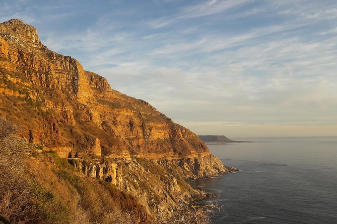 Cape of Good hope, Cape Point & Penguins, Private Morning Tour - The guide can make or break the experience