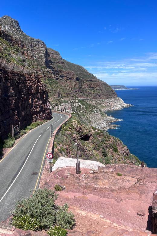 Cape of Good Hope, Chapman's Peak Drive, Penguins , Seals - The real cost is higher than $44
