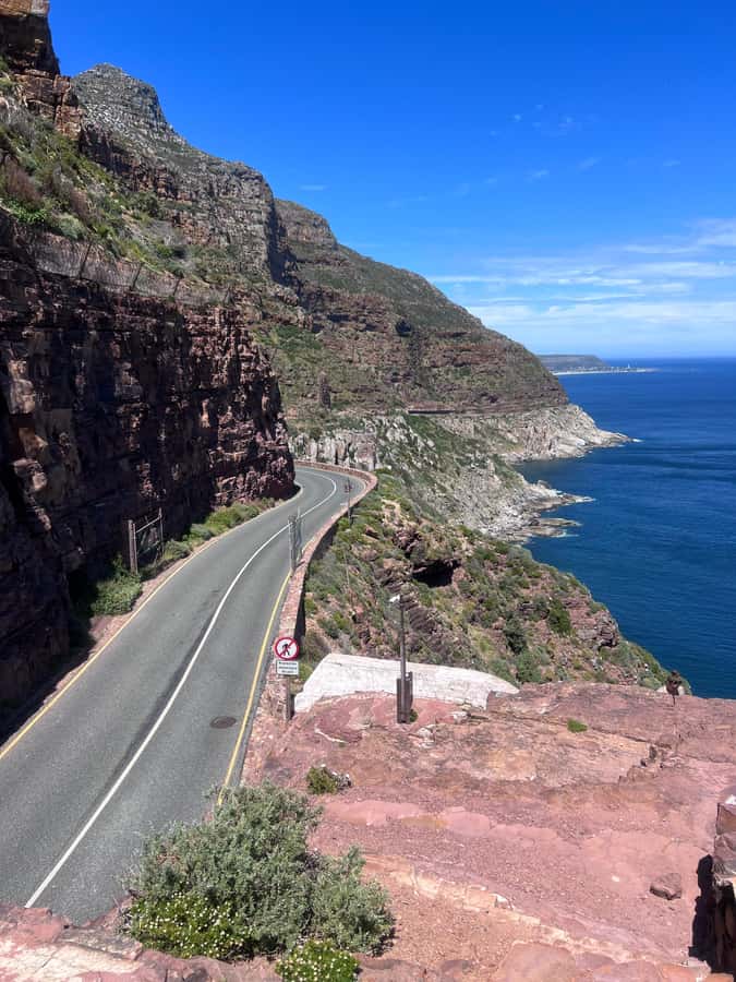 Cape of Good Hope, Chapman's Peak Drive, Penguins , Seals - Why this Cape Peninsula day works so well