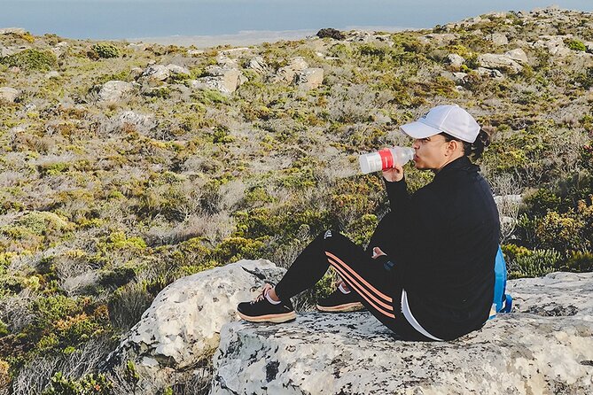 Cape of Good Hope- Chapman’s peak route & Penguins – Cape Town - Boulders Beach and the African penguins