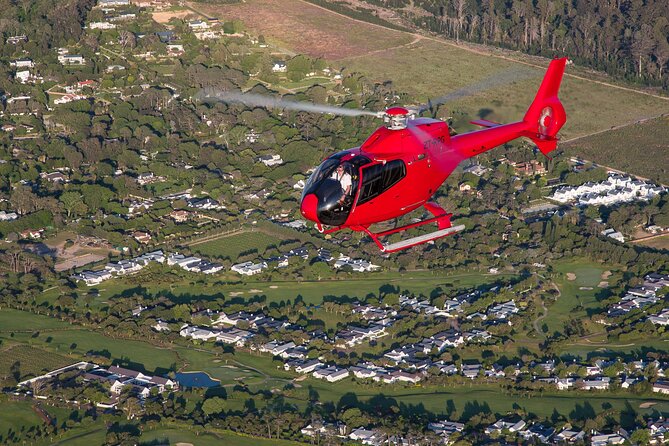Cape of Good Hope Helicopter Private Tour with Stellenbosch Wine Tasting & Lunch - DeMorgenzon and the musical side of Stellenbosch wine