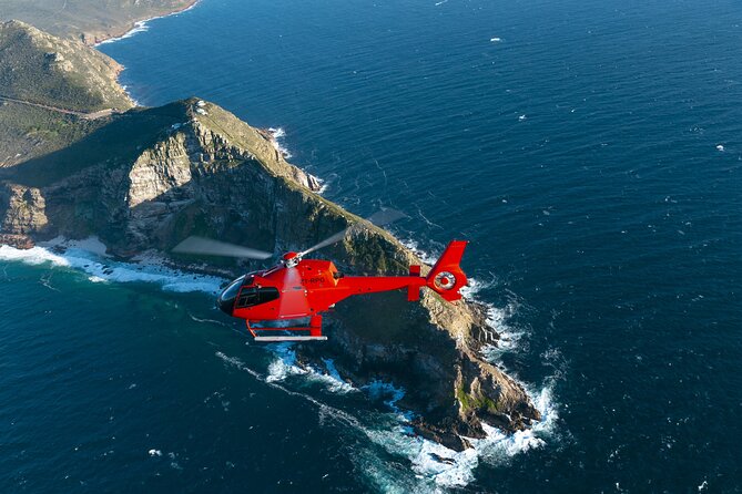 Cape of Good Hope Helicopter Private Tour with Stellenbosch Wine Tasting & Lunch - The wildlife portion needs clarification