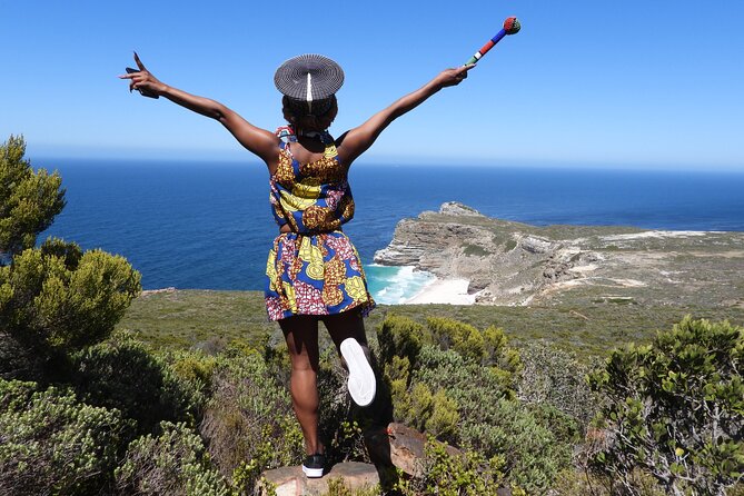 Cape Of Good Hope Instagram Small Group Tour with Penguins - Boulders Beach and the penguin decision