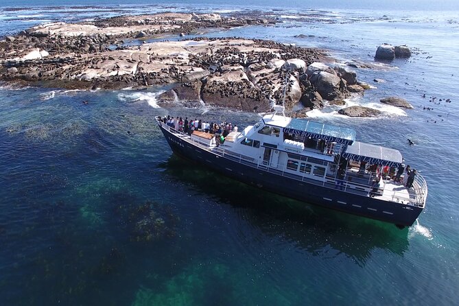 Cape of Good Hope & Penguins from Cape Town Full-Day Private Tour - Bo-Kaap and the Cape Malay story
