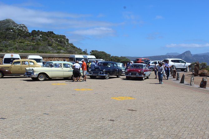 Cape Of Good Hope, Penguins Private Tour from Cape Town full day - Cape Point Nature Reserve and the Cape of Good Hope
