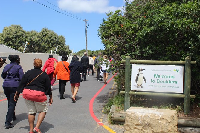 Cape Of Good Hope, Penguins Private Tour from Cape Town full day - Boulders Beach and the African Penguins
