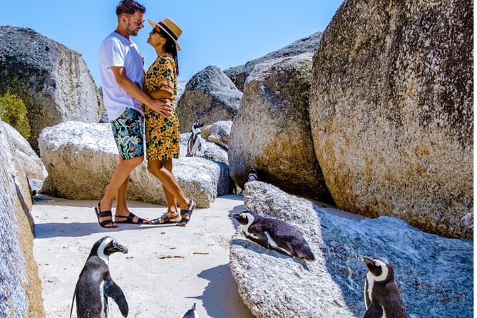 Cape of Good Hope & Penguins Small Group Tour from Cape Town - Why this Cape Peninsula tour makes sense