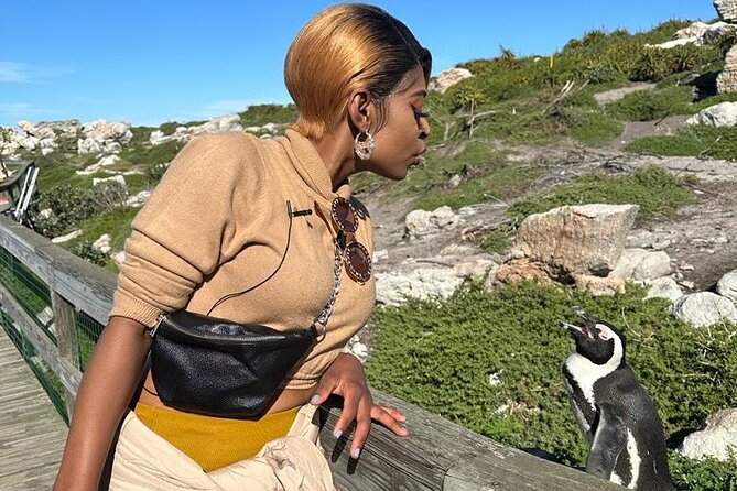 Cape of Good Hope & Penguins Small Group Tour from Cape Town - Meeting the African penguins at Boulders Beach