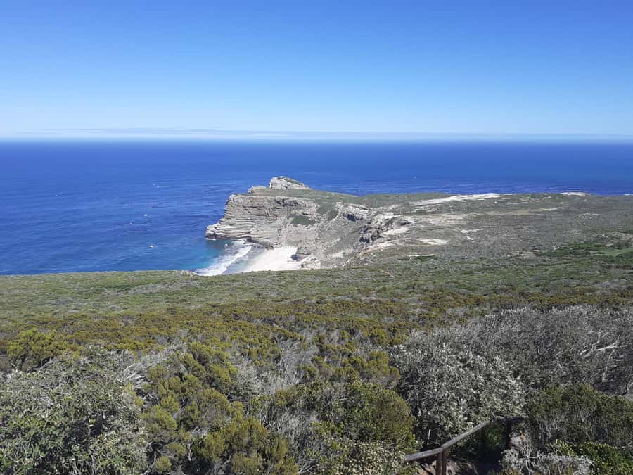 Cape of Good Hope: Sightseeing and African Penguins Tour - Cape of Good Hope Nature Reserve