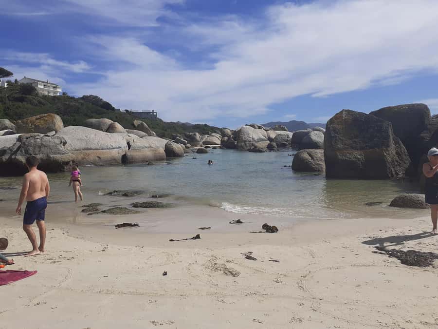 Cape of Good Hope: Sightseeing and African Penguins Tour - The guide can make or break the day