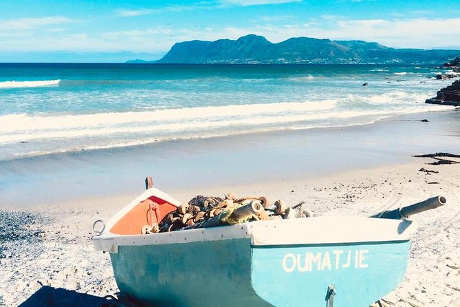 Cape Peninsula Adventure - Chapmans Peak delivers the big road view