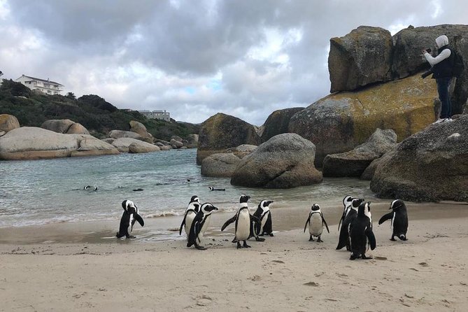 Cape Peninsula Adventure - Why the private format matters on this route