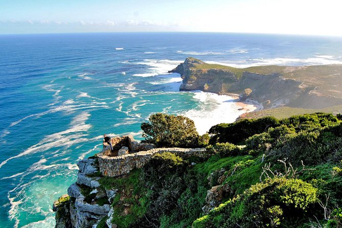 Cape Peninsula and Boulders Full Day Tour with Private Transfer - What the $268.41 Price Really Buys
