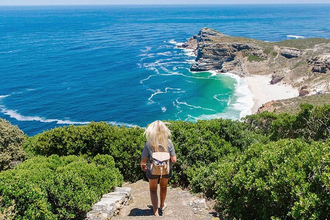 Cape Peninsula and Boulders Full Day Tour with Private Transfer - Who Will Get the Most From This Day