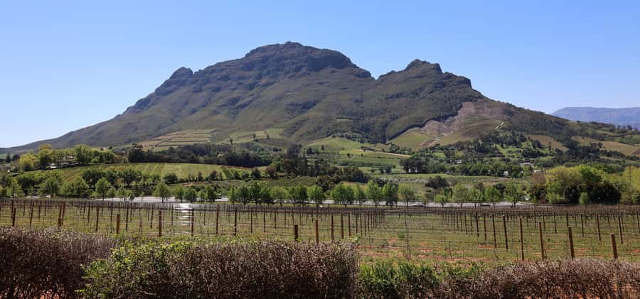 Cape Peninsula and Winelands Private Full-Day Combo Tour - Simon’s Town is your lunch break