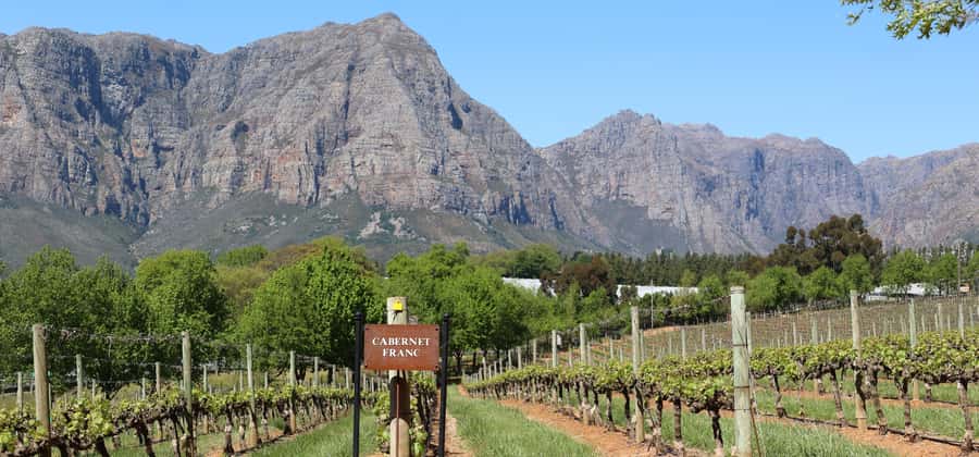Cape Peninsula and Winelands Private Full-Day Combo Tour - Bo-Kaap brings color and culture first