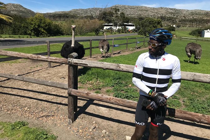 Cape Peninsula Cycle Tour - Chapmans Peak Drive by bicycle