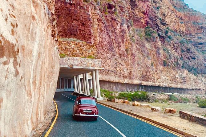 Cape Peninsula in a Vintage Car (Penguins, Cape Point & Chapman's Peak drive) - Cape Point Nature Reserve: fynbos, cliffs, and baboons