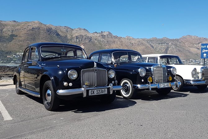 Cape Peninsula in a Vintage Car (Penguins, Cape Point & Chapman's Peak drive) - Boulders Beach and the African penguins