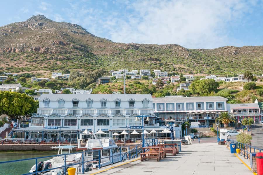 Cape Peninsula & Penguins Beach Half Day Tour from Cape Town - Guides can make the fast schedule feel personal