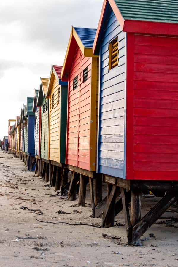 Cape Peninsula: Private Full Day Tour - What the private format is worth at $225