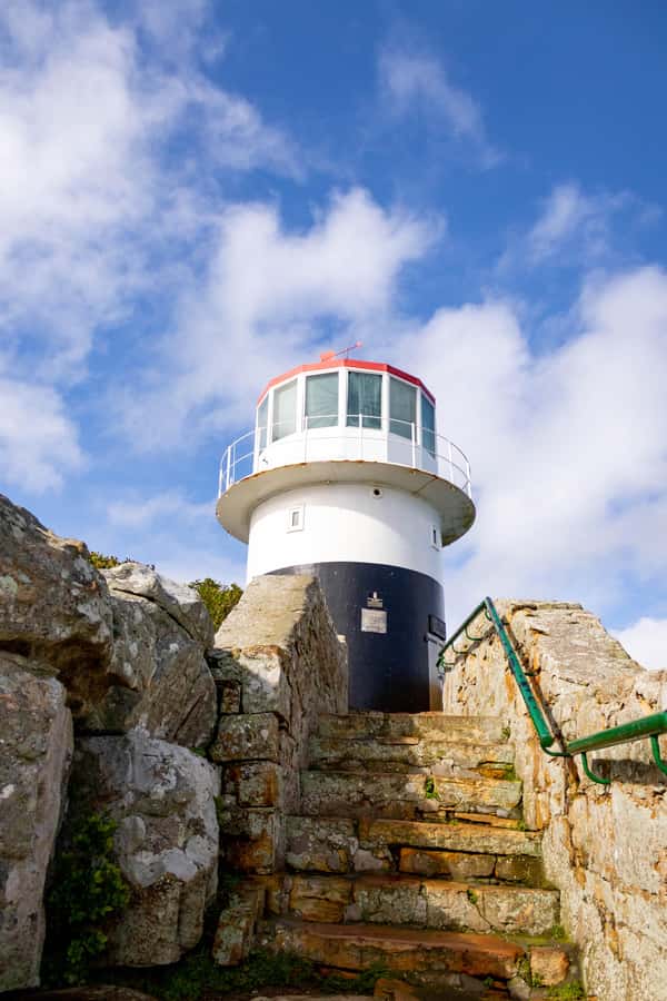 Cape Peninsula: Private Half Day Tour - Chapman’s Peak Drive brings the drama
