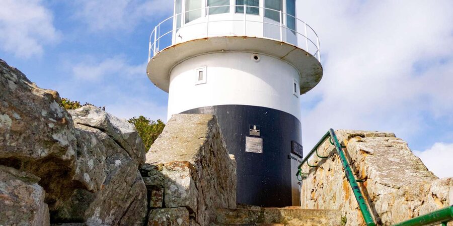 Cape Peninsula: Private Half Day Tour - What the price includes, and what it does not