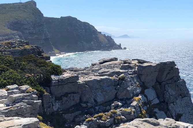 Cape Peninsula Private tour - Hout Bay: a working harbor and an optional seal trip