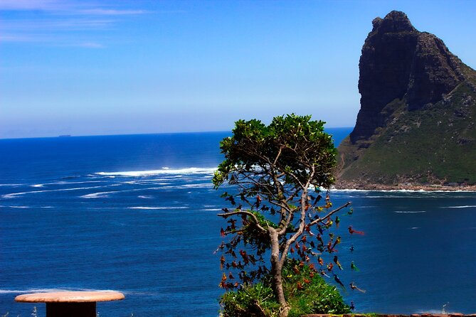 Cape Peninsula Private Tour Include Park Fees - Chapman’s Peak Drive is a scenic centerpiece