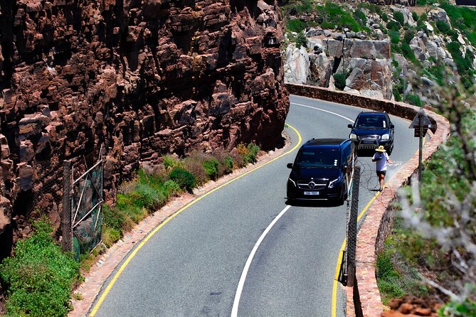 Cape Peninsula Private Tour Include Park Fees - Boulders Beach puts African penguins up close