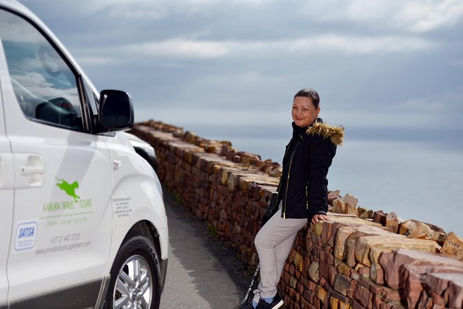Cape Peninsula Private Tour with entrance fees to Cape of Good Hope and Penguins - Cape Point Vineyards adds a flexible wine break