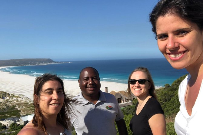 Cape Peninsula Private Tour - Hout Bay: harbor views and a seal-spotting option
