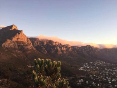 Cape Peninsula Shared Half-Day Tour