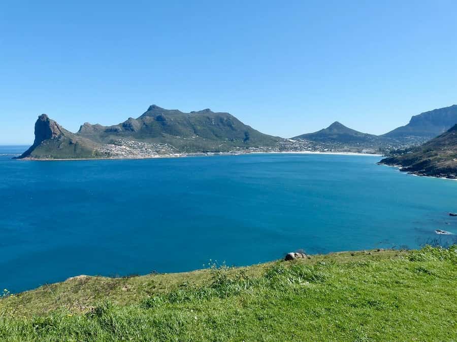 Cape Peninsula Shared Half-Day Tour - False Bay, Simon’s Town, and the penguin option