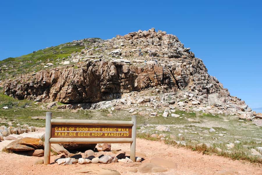 Cape Peninsula Shared Half-Day Tour - Constantia closes the route with a change of pace