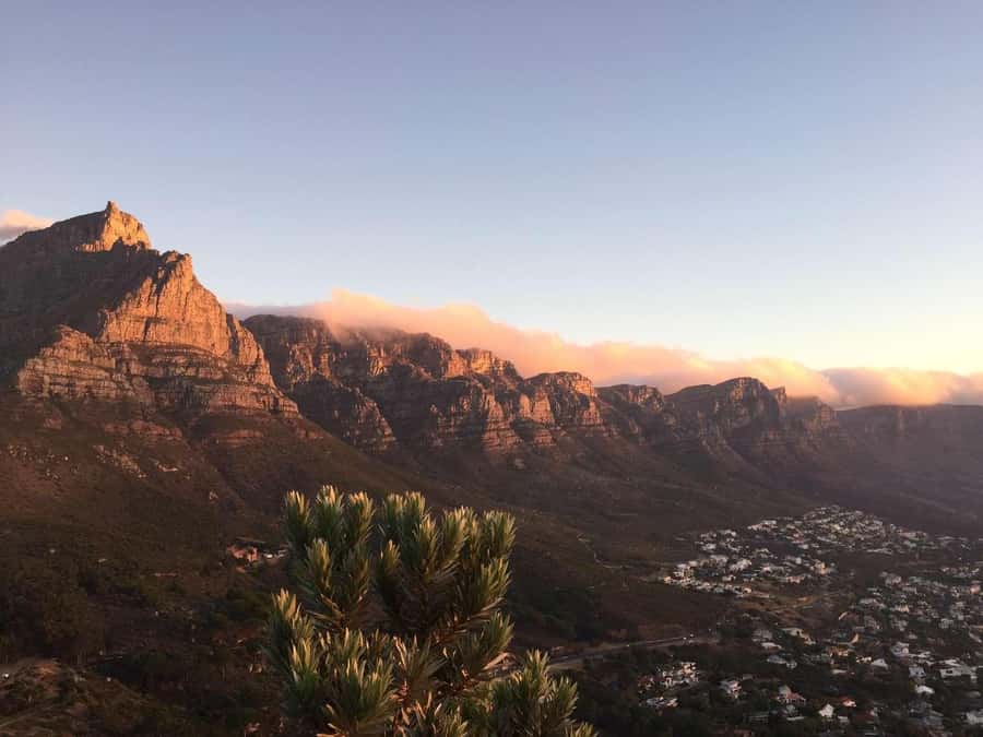 Cape Peninsula Shared Half-Day Tour - Clifton, Camps Bay, and the Twelve Apostles